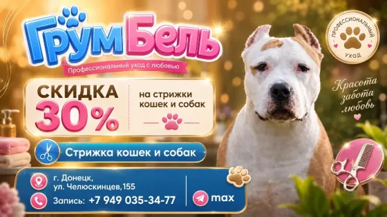 Стрижка кошек и собак - Грум кабинет Донецк