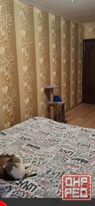 Продам 3х ком. пролетарский рн. Донецк - изображение 4