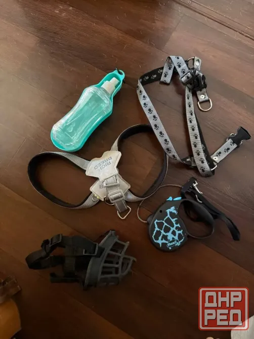 продам щенка бультерьера Донецк - изображение 3