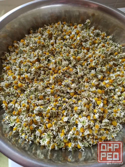 Ромашка аптечная, сушеные цветки Мариуполь - изображение 1