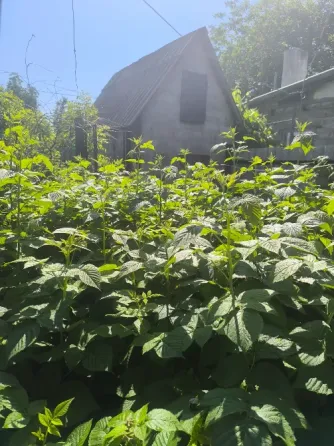 Продам квартиру на земле Донецк