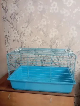 Клетка Донецк