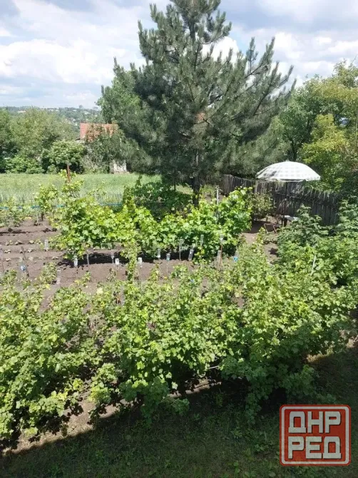 Срочно продам квартиру на земле (Финский дом), г.Макеевка, Горняцкий район Макеевка - изображение 7