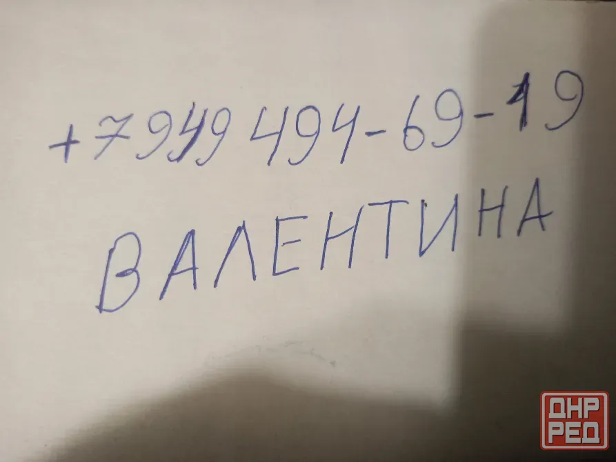 котята девочки в добрые руки Донецк - изображение 8