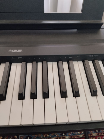 Yamaha P - 45 Харцызск
