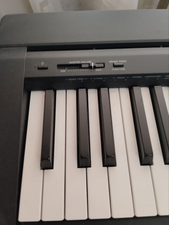 Yamaha P - 45 Харцызск