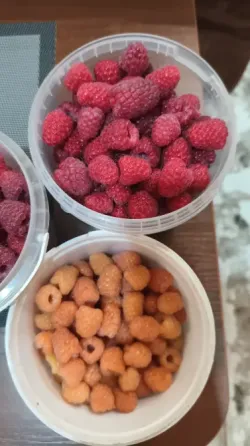 Продам домашнюю малину из своего сада Макеевка