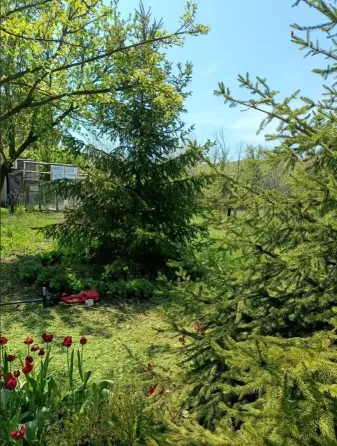 Продажа дачи в Буденновском районе, Шахтер. Донецк