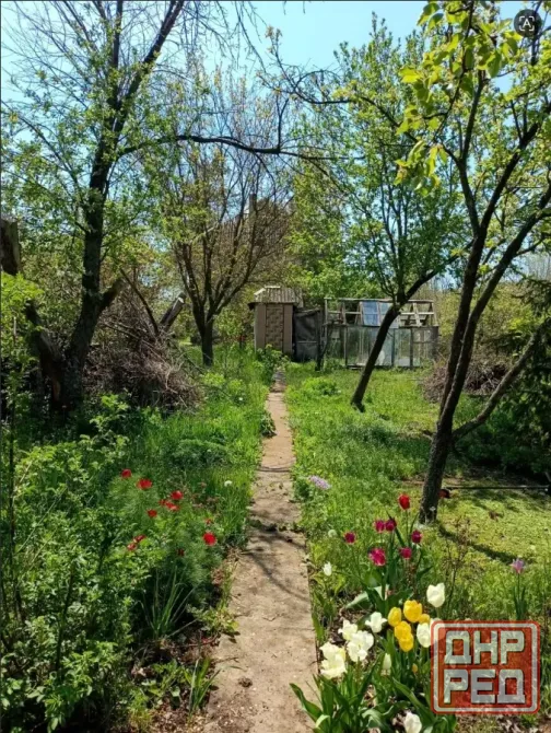 Продажа дачи в Буденновском районе, Шахтер. Донецк - изображение 9