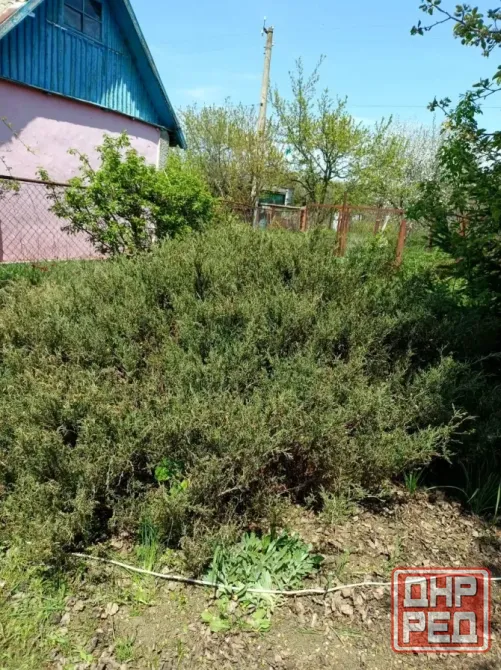 Продажа дачи в Буденновском районе, Шахтер. Донецк - изображение 8