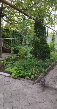 Продам Дом на Зелёном Макеевка