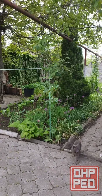 Продам Дом на Зелёном Макеевка - изображение 2
