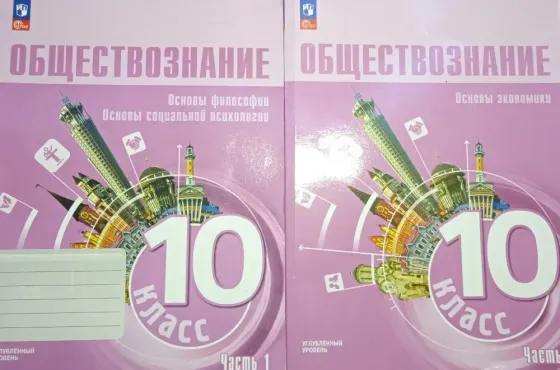 Учебник Основы экономики. 10 класс. Углублённый уровень. 2 части Донецк