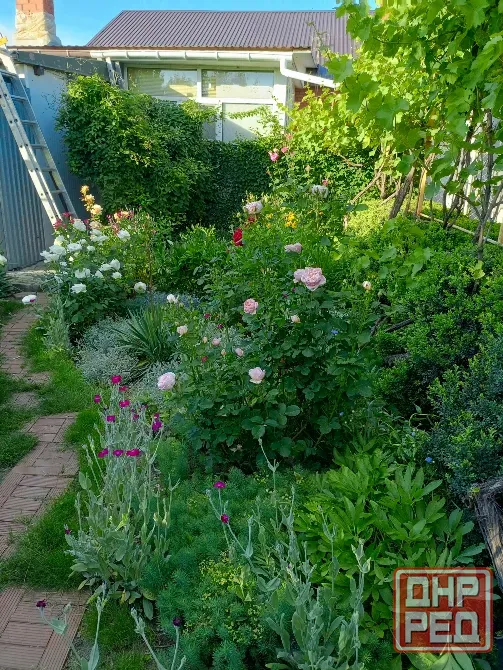Продам Дом Мариуполь - изображение 7