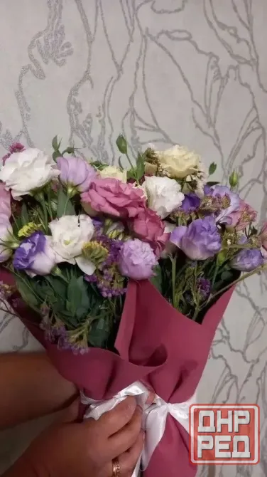 Эустома, роза-букет, Каланхоэ, герань, авокадо, педилантус, виола Донецк - изображение 1