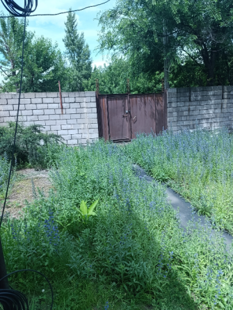 Продажа дома Макеевка, Горняцкий район, пос. Красная Звезда, (ориентир школа 95) Макеевка