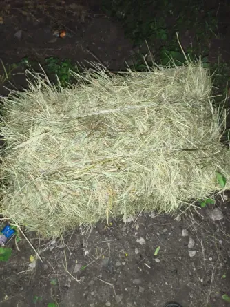Сено луговое Макеевка