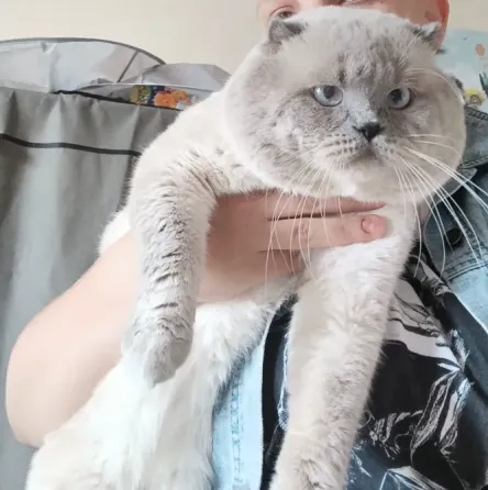 Вязка Донецк