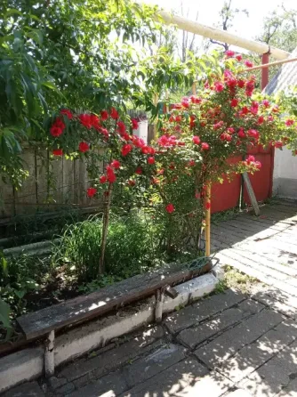 Продается дом Снежное