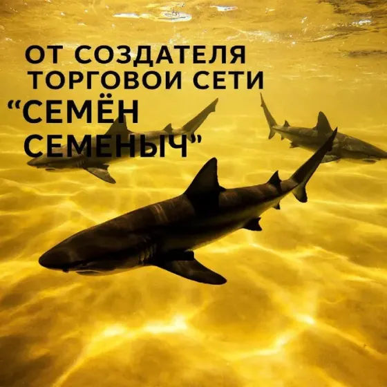 Продвижение Донецк