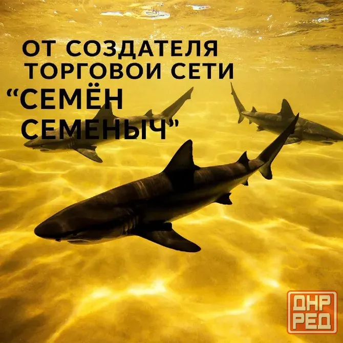 Продвижение Донецк - изображение 1