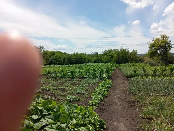 Продам дом с участком 25соток .Кировский район .пос.Ясиновка Макеевка