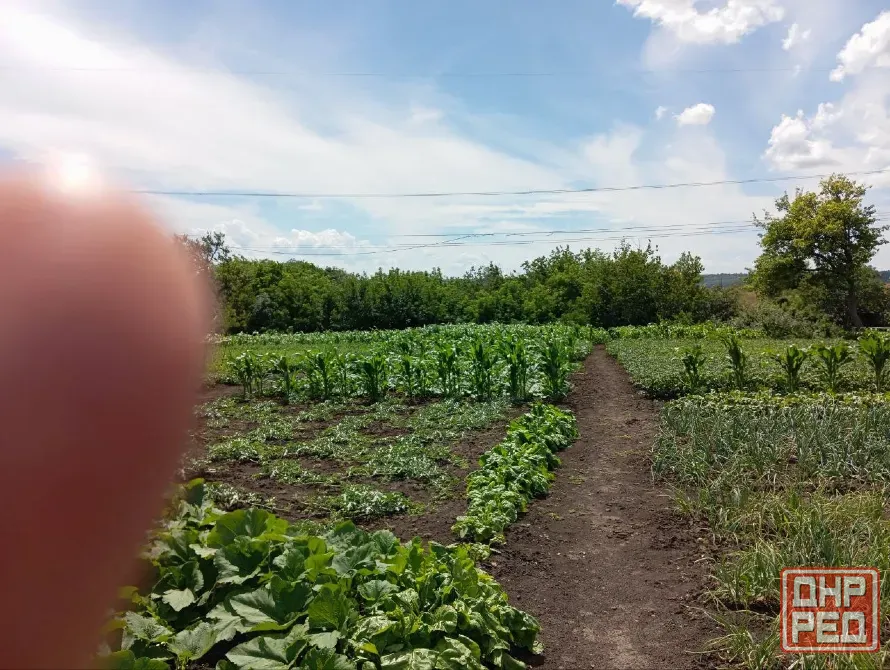 Продам дом с участком 25соток .Кировский район .пос.Ясиновка Макеевка - изображение 3