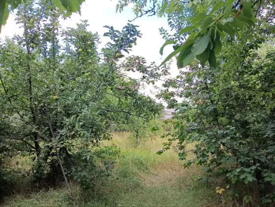 Продам дом. Макеевка