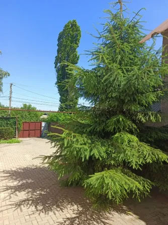 Продам большой, уютный дом ул. Новочеркасская, 20 соток. Донецк