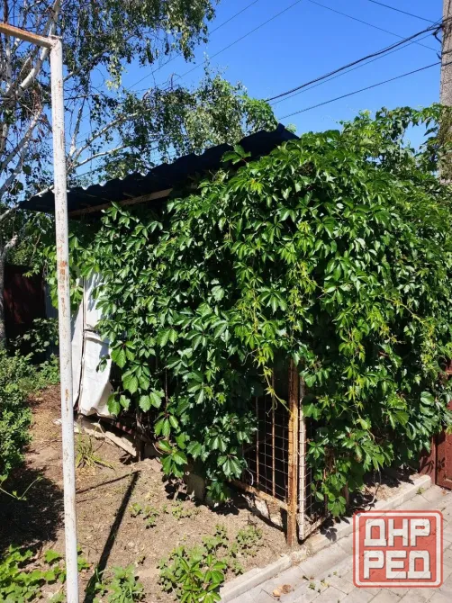 Продам большой, уютный дом ул. Новочеркасская, 20 соток. Донецк - изображение 12