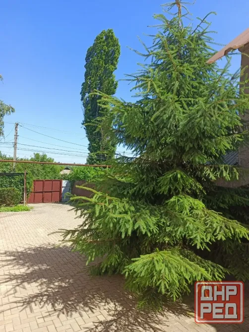 Продам большой, уютный дом ул. Новочеркасская, 20 соток. Донецк - изображение 4