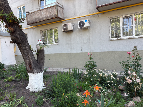 Сдам 2 комнатную квартиру в Мариуполе Мариуполь