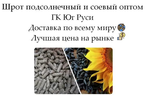Шрот подсолнечный и соевый оптом от производителя компании Юг Руси Луганск