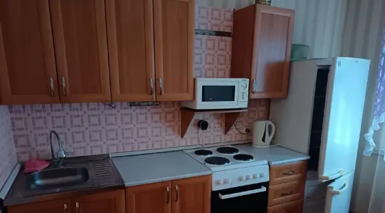 Квартира первой сдачи в Калининском районе по ул. Разенкова, Дс Дружба. Донецк