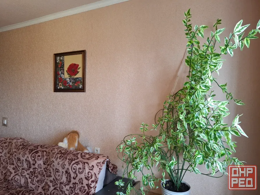 Продам квартиру с тремя раздельными комнатами Донецк - изображение 5