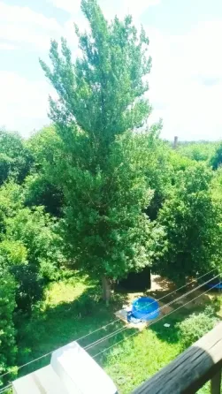 Продам однокомнатную квартиру по улице Ленина Макеевка