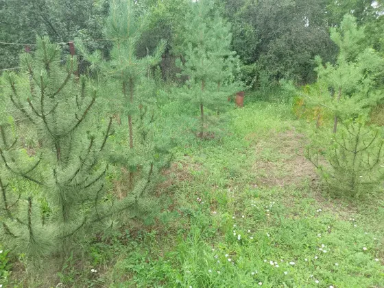 Продажа дачи на берегу реки Крынка Харцызск