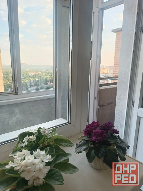 Эксклюзив! Супер предложение! Продажа крупногабаритной 3-х комнатной квартиры, центр Макеевки Макеевка - изображение 9
