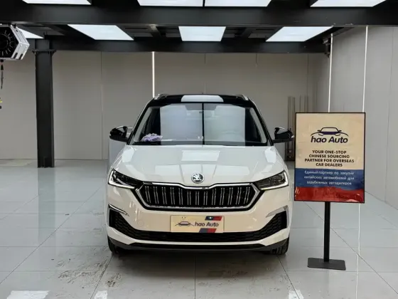 Skoda Kamiq под заказ Донецк