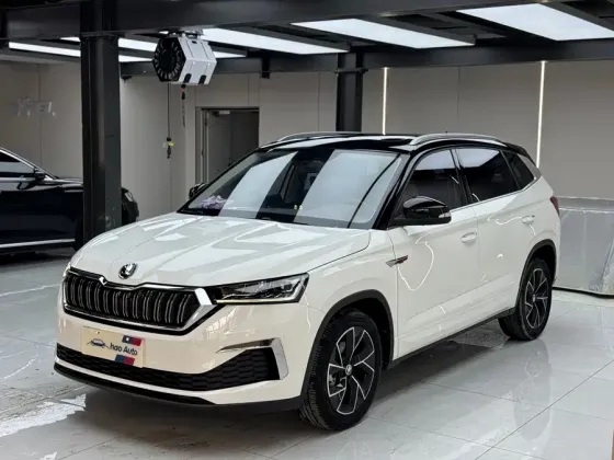 Skoda Kamiq под заказ Донецк