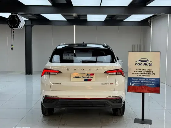 Skoda Kamiq под заказ Донецк