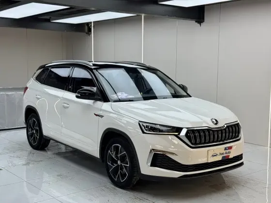 Skoda Kamiq под заказ Донецк