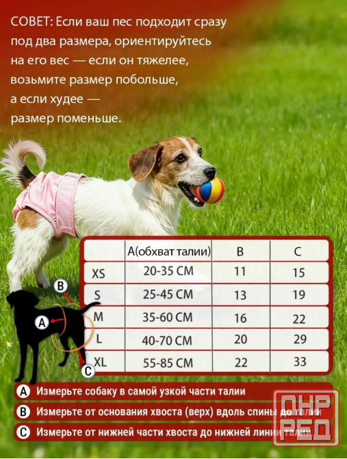 Трусики-памперсы для животных (3 шт) Макеевка - изображение 3
