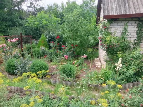 Продается Дача, пгт Горное, снт Садовник, на берегу реки Крынка Харцызск