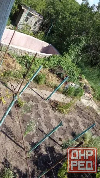 Продается дача в Кировском районе, снт «Абакумовец» Донецк - изображение 10