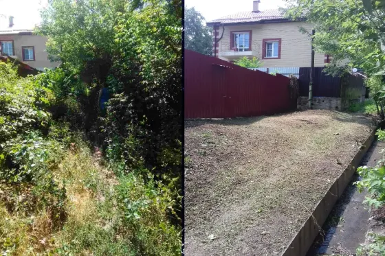 Покос травы. Спил деревьев. Уборка участка Донецк