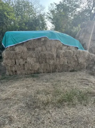 Продам сено Иловайск
