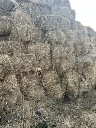 Продам сено Иловайск