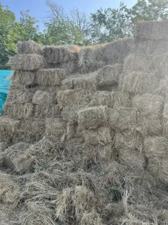 Продам сено Иловайск