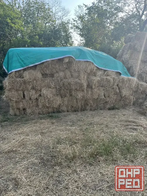 Продам сено Иловайск - изображение 1